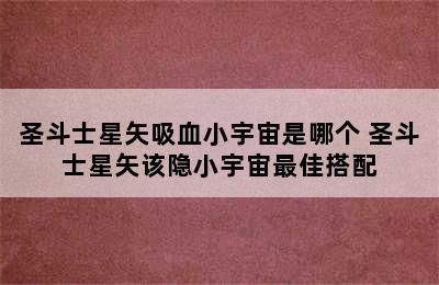 圣斗士星矢吸血小宇宙是哪个 圣斗士星矢该隐小宇宙最佳搭配